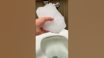 Thumbnail of Throwing Snow At A Cactus 🌵