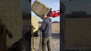 Loading Hay!                                 #shorts