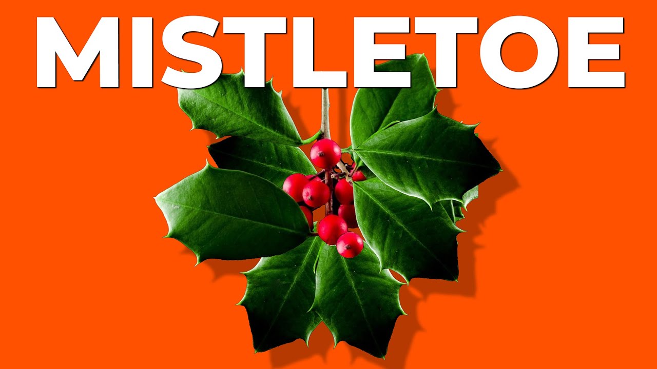 Mistletoe: Time To Kiss