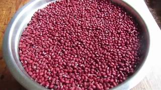 Adzuki Beans