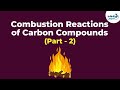 Flame Colors and Hydrocarbon Combustion Dynamics