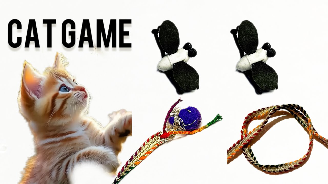 Cat Games- Videos for Cats to watch
