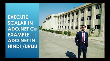 Execute scalar in ado.net c# example || ADO.NET in hindi /Urdu
