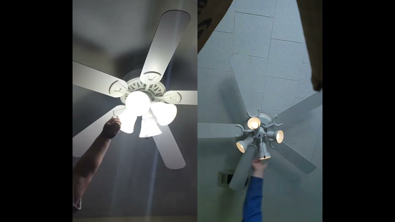 AESTHETIC WHITE FANS