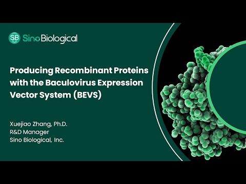 Producing Recombinant Proteins