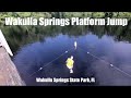 The diving platform at wakulla springs state park