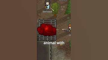 WHAT IS THE BEST ANIMAL (carry the most) FOR CARAVANS IN RIMWORLD? (part1) #rimworld #projectzomboid