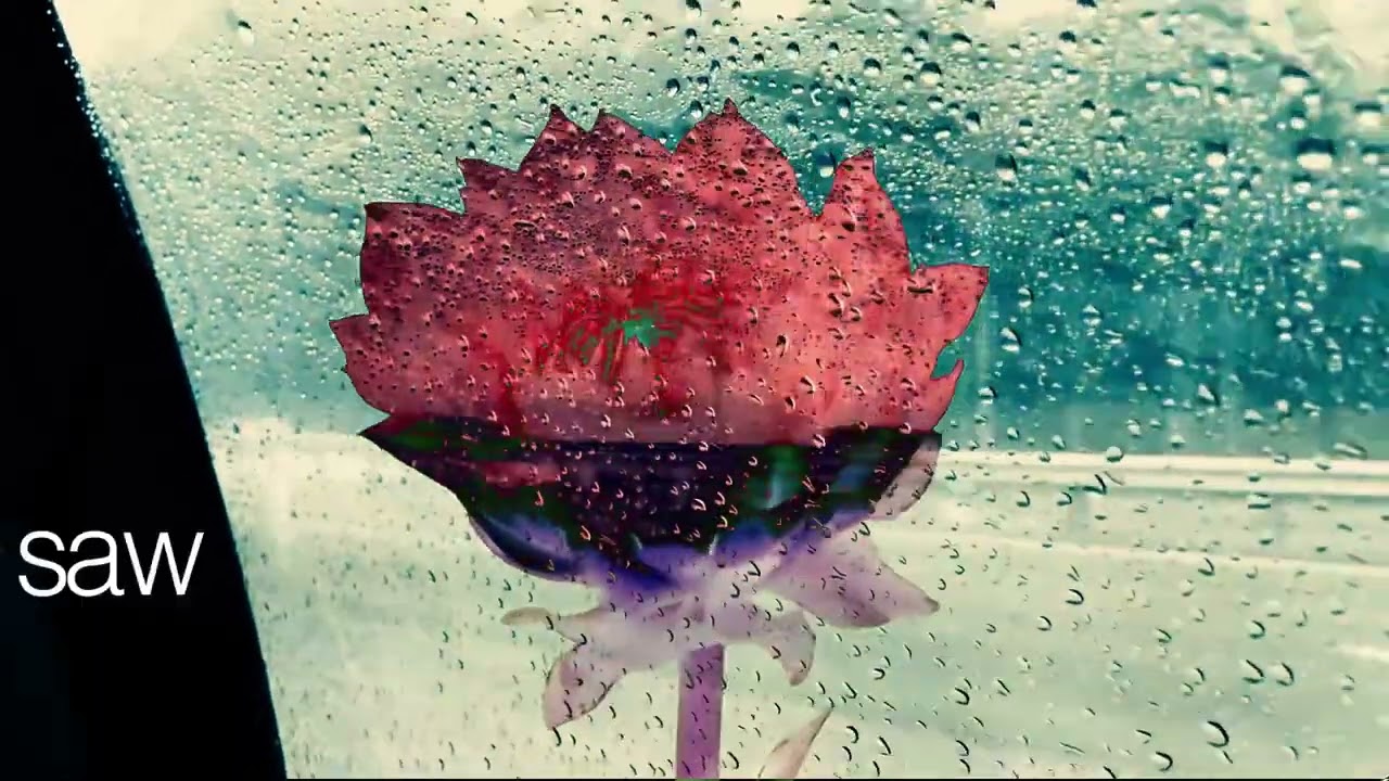 rinsed - dean blunt, TYSON