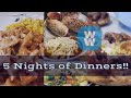 5 NIGHTS OF DINNERS | WW | WEIGHT WATCHERS!!