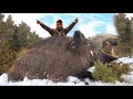 BÜYÜK DOMUZ AVI / Big Boar Hunting 2021 ( SEZON SONU )