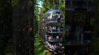 A 3-Story Glass Train in the Middle of the Jungle?! 🤯🌿 #Shorts