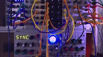 Doepfer A-106-5 SEM 12dB demo + goodies