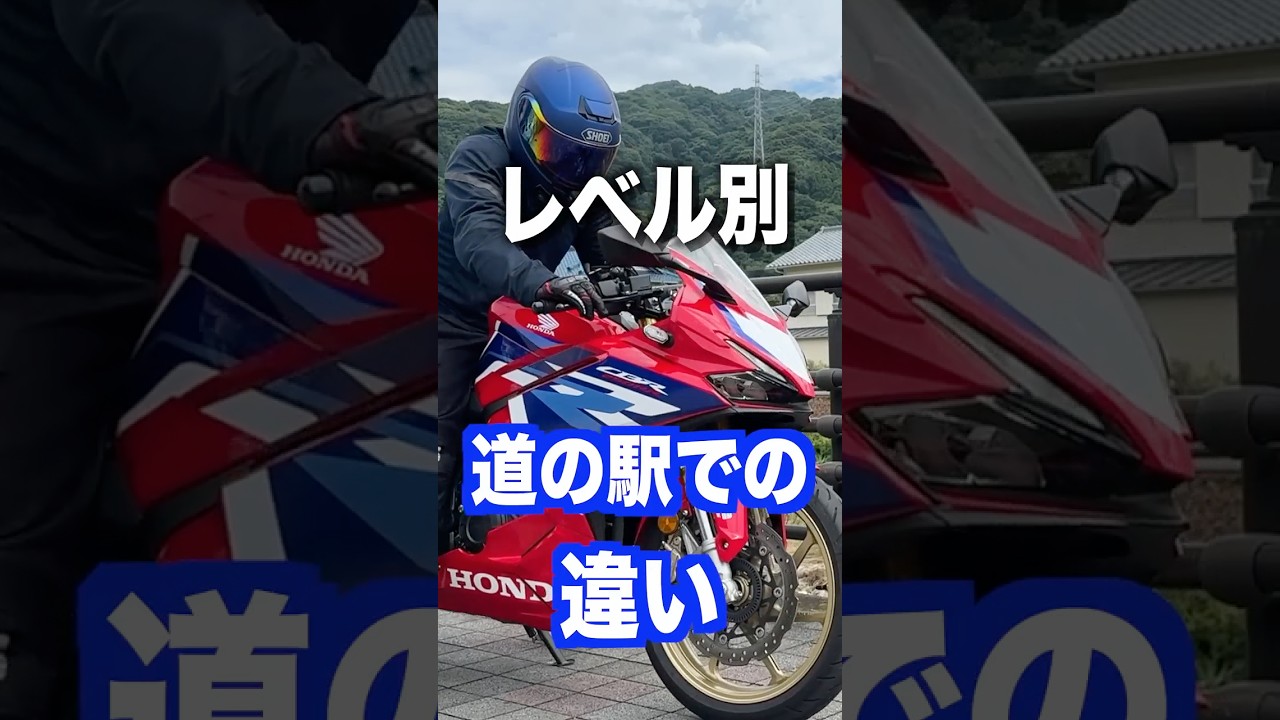 レベル別、道の駅での違い