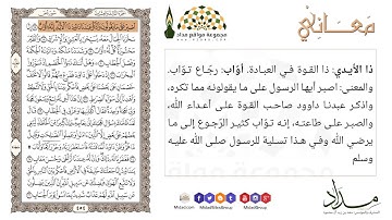 اصبر على ما يقولون واذكر عبدنا داوود ذا الأيد إنه أواب "17" سورة ص - معاني
