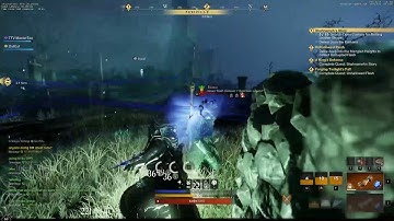 New World Battle Mage (Void Gauntlet / Ice Gauntlet)