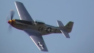 P-51D Mustang | Fast Sounding Flybys