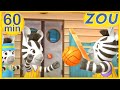 Zou en español 🏀 ZOU EN EL GIMNASIO 🥇 60 min RECOPILACIÓN | Dibujos animados