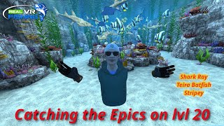 Catching the Epics in South Korea Location 20 in Real VR Fishing