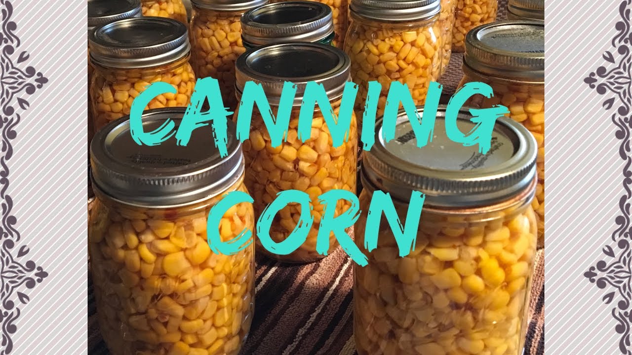 Canning Corn Frozen Corn YouTube