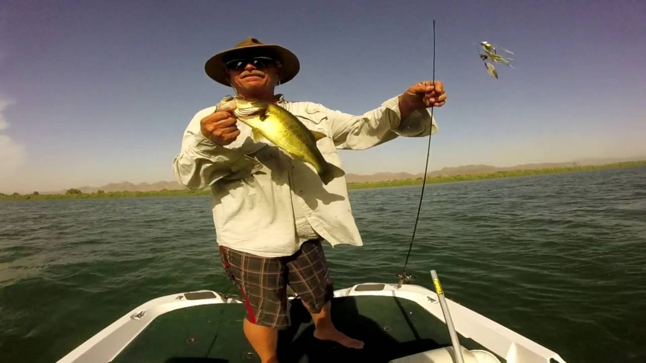 Colorado river fishing ft. Bass Buster - YouTube
