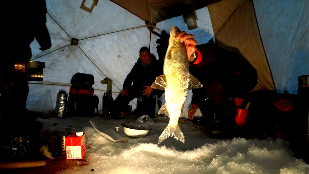 Рыбалка в якутии зимой 2020. Зимняя рыбалка в Якутии 2019. Рыбалка Якутия клевая рыбалка 2019. Клёвая рыбалка Якутия последнее. Клевая рыбалка в Якутии зимой.