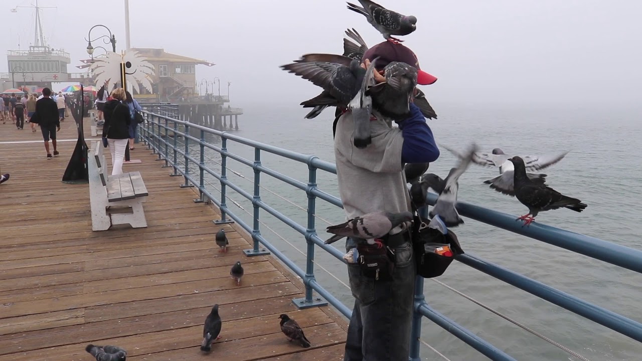 Sights and Sounds From Santa Monica Pier October 2018 with Paul Huebl