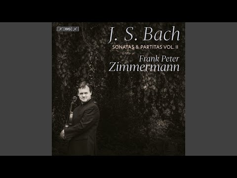 Violin Sonata No. 3 in C Major, BWV 1005: IV. Allegro assai