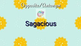 Sagacious Opposite/Antonym||Googul Dictionary||
