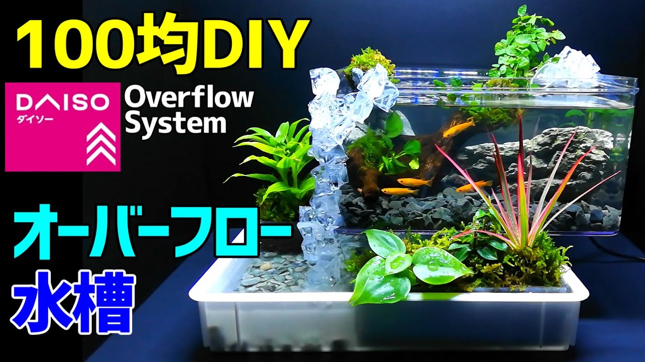 メダカの オーバーフロー水槽 作り方100均diy メダカ室内飼育 ダイソーアイテムで作成 How To Make Overflow Aquarium Waterfall Fountain Youtube