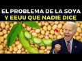 Por Esta Razón EEUU está OBESIONADO con la SOYA