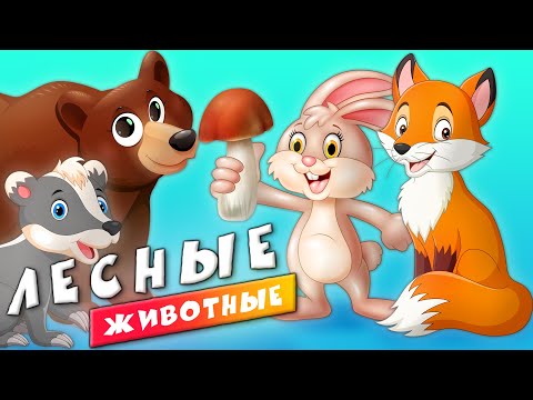 Животные - Лесные Животные Для Детей - Развивающие Видео Для Малышей