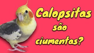 Me digam vocês!🤭 by Vanessa's Cockatiels 1,163 views 8 months ago 1 minute, 36 seconds