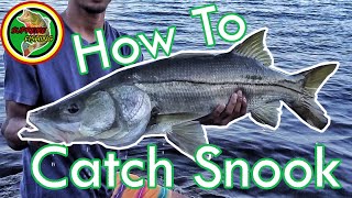 How To Catch Snook In Florida (Tackle, Tips, Locations, Techniques, and MORE!)