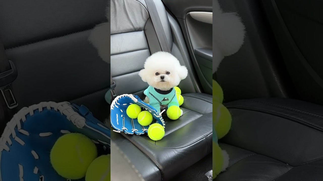 CUTEST PUPPIES Singing a SONG for KIDS! 🐶🎶 