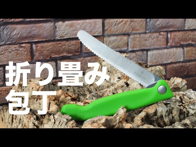 VICTORINOX Folding Fruit Knife 