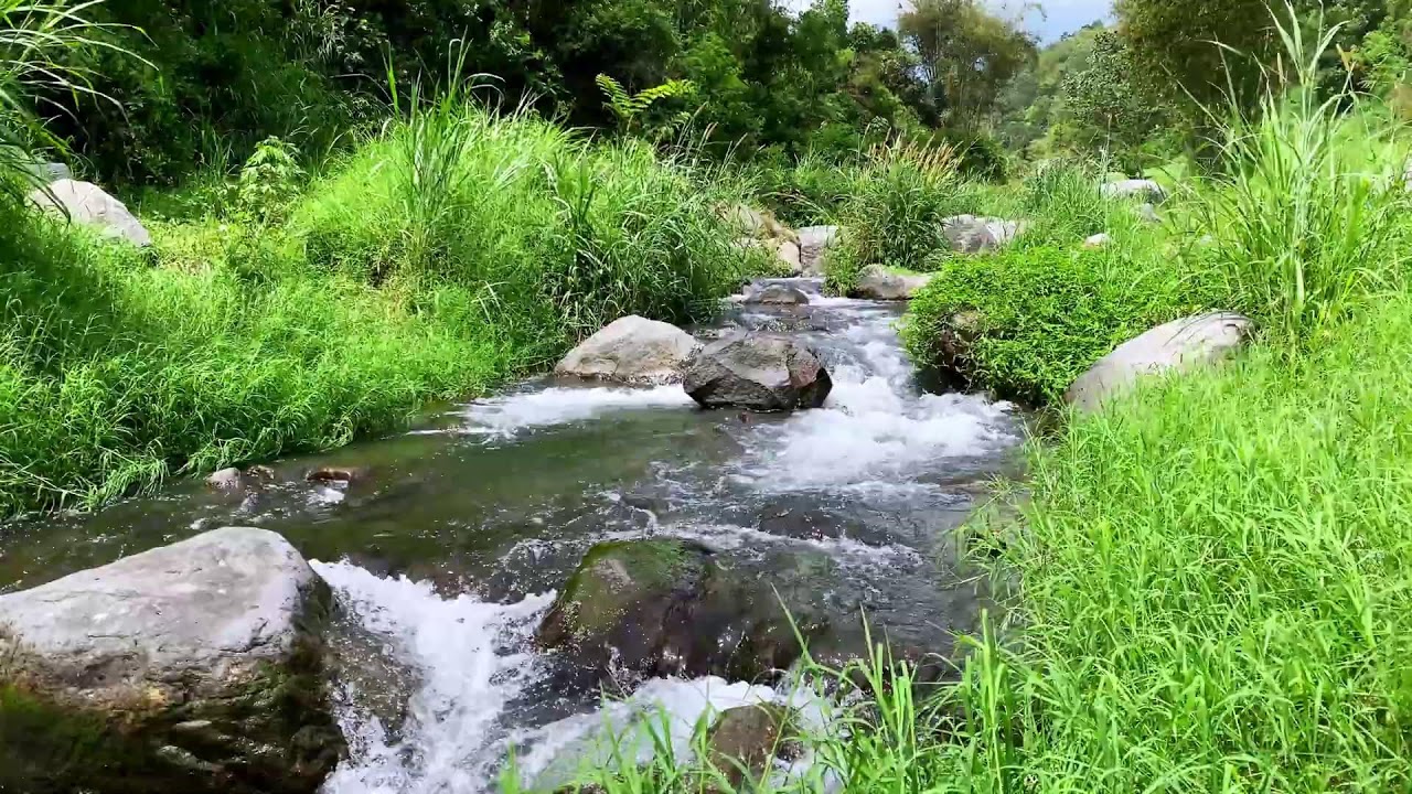 Tranquil River Flow – 10 Hours of Water ASMR  - Stress, Anxiety Relief & Meditation Sounds