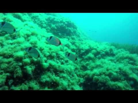Punta Vessinaro - Dragone
