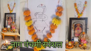 नागपंचमी स्पेशल /नाग पंचमी का महत्व और    उनकी पूजा/nagpanchami special vlog/vlog/puja/नागपंचमी पूजा