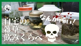 ［小屋暮らしクッキング］雑草が薬草に？飲み比べ【１０選】草刈りする前に試してみよう！