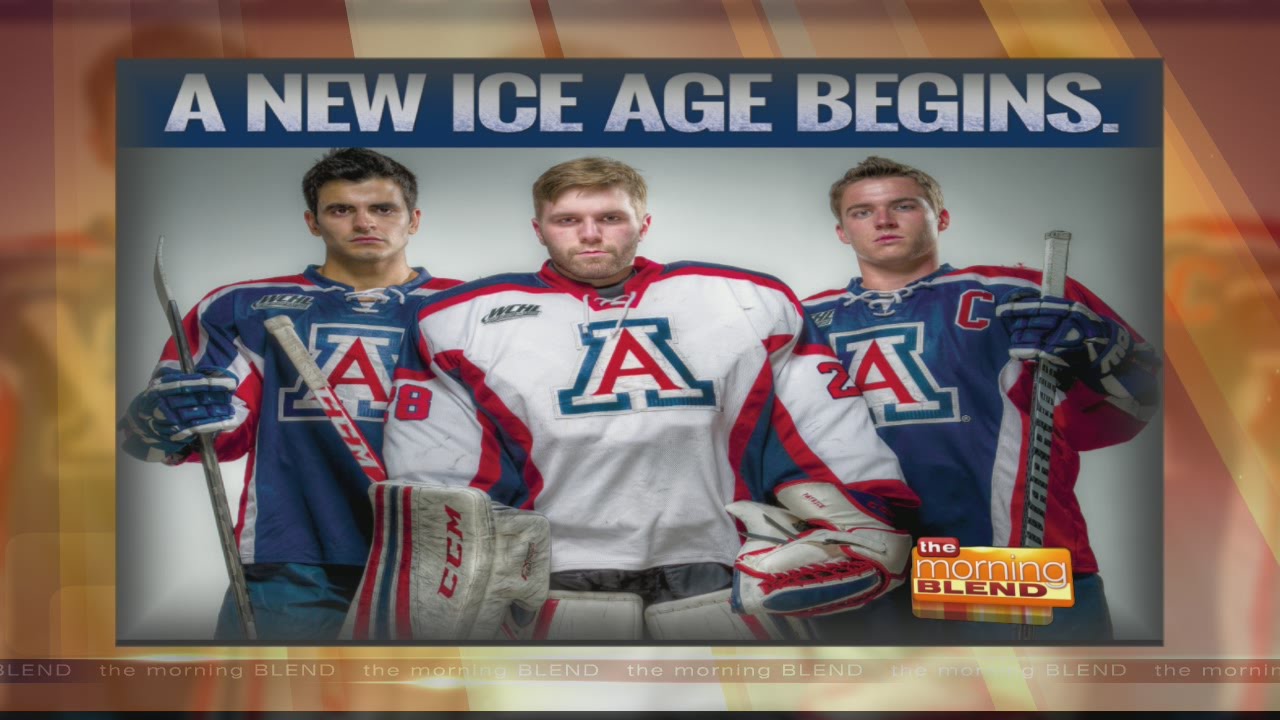 university of arizona hockey jersey