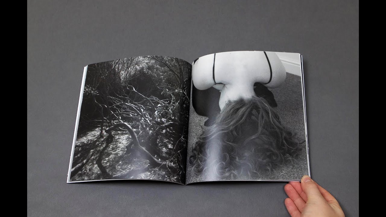 Hazel Hutchison  Nature Artist Talk Series