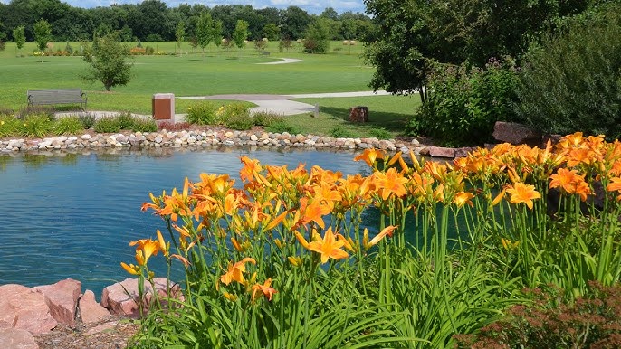 Minnehaha
