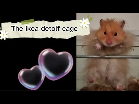 My experience with the ikea detolf cage