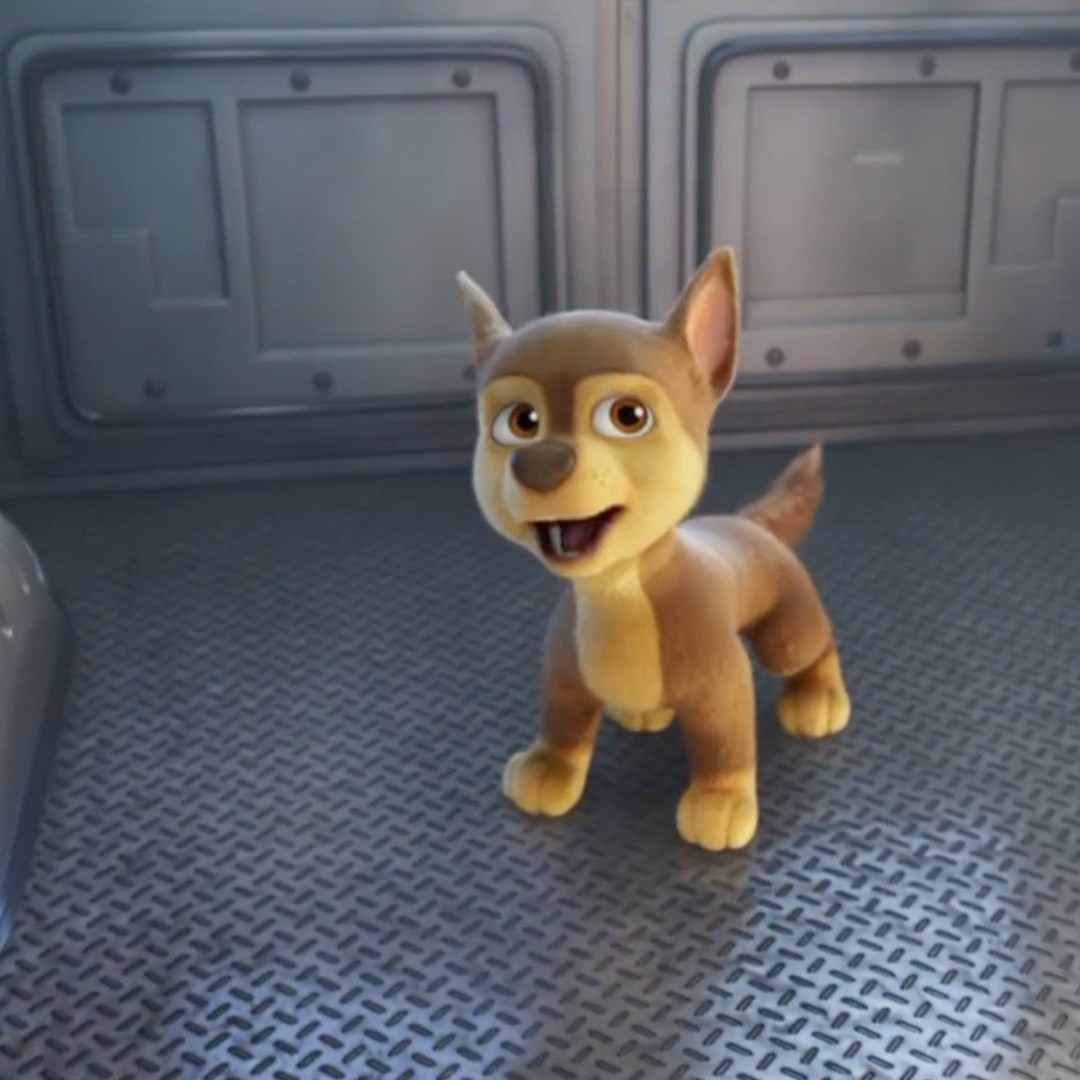 CHASE FOI SEQUESTRADO PELOS MALUCOS - PATRULHA CANINA PARÓDIA  #animation #cartoon #shorts