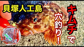 【穴釣り】キムチで穴釣りやってみた‼︎  貝塚人工島   大阪湾