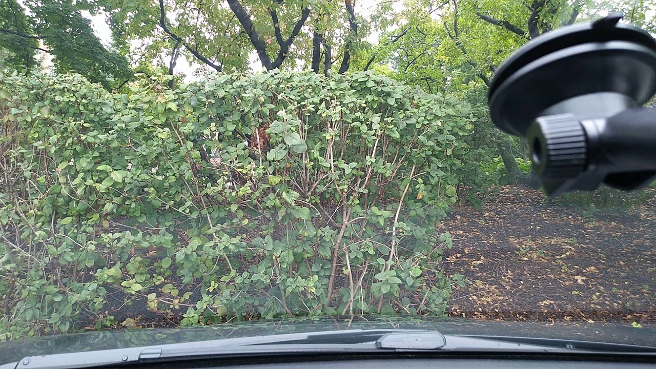 Autoboy Blackbox : Dashcam App - 2018-10-05 11:10:15 video phone beyonce mp3