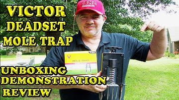 Victor Deadset Mole Trap Unboxing Demonstration and Review