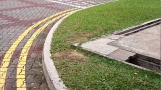 Ollie Over Small Grass Gap