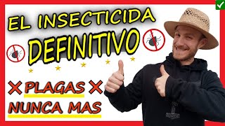 👉𝟏𝟎𝟎% 𝐄𝐅𝐈𝐂𝐀𝐙 ✅ El Mejor Insecticida Casero para Plantas que Existe 🥇