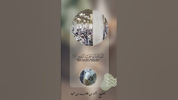 ‏تلاوة بديعة لسورة التكاثر 🤍 (صلاة المغرب / الأربعاء ٢١-٢-١٤٤٥ هـ) || الشيخ: ‎#أحمد_بن_طالب_بن_حميد
